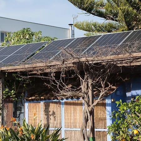 El Secanet 컨트리하우스 Algimia de Alfara