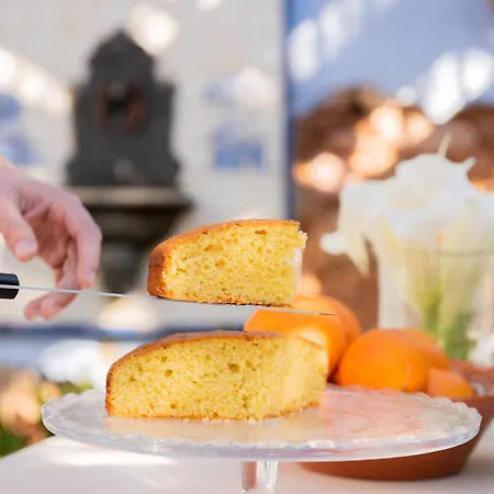 컨트리하우스 El Secanet Algimia de Alfara