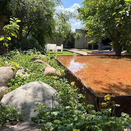 El Secanet * Algimia de Alfara