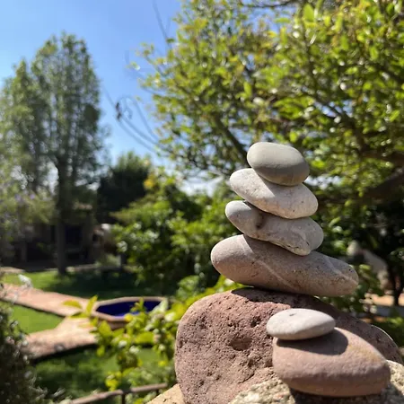 컨트리하우스 El Secanet Algimia de Alfara