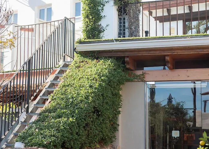 El Secanet Algimia de Alfara