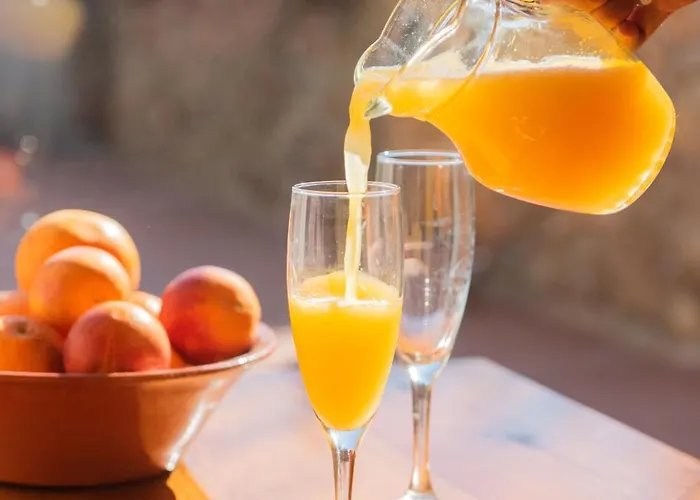 El Secanet Landsted Algimia de Alfara