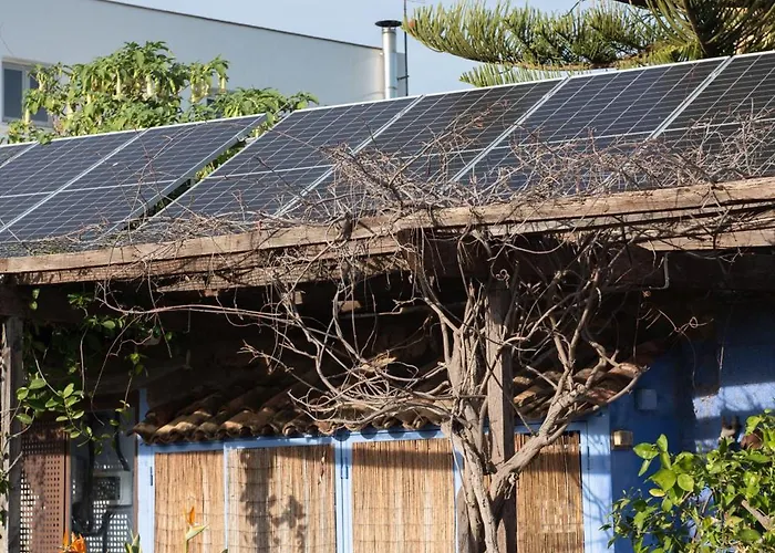 El Secanet Landsted Algimia de Alfara