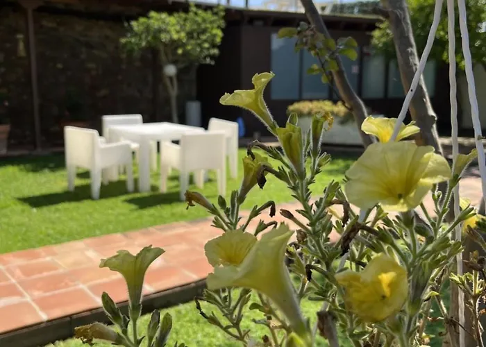 El Secanet Algimia de Alfara