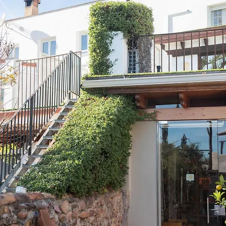 El Secanet Algimia de Alfara