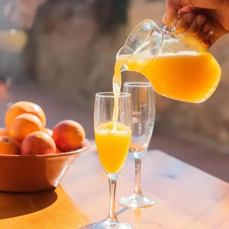 El Secanet Landhuis Algimia de Alfara