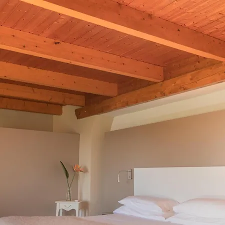 El Secanet Algimia de Alfara