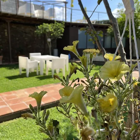 El Secanet Algimia de Alfara