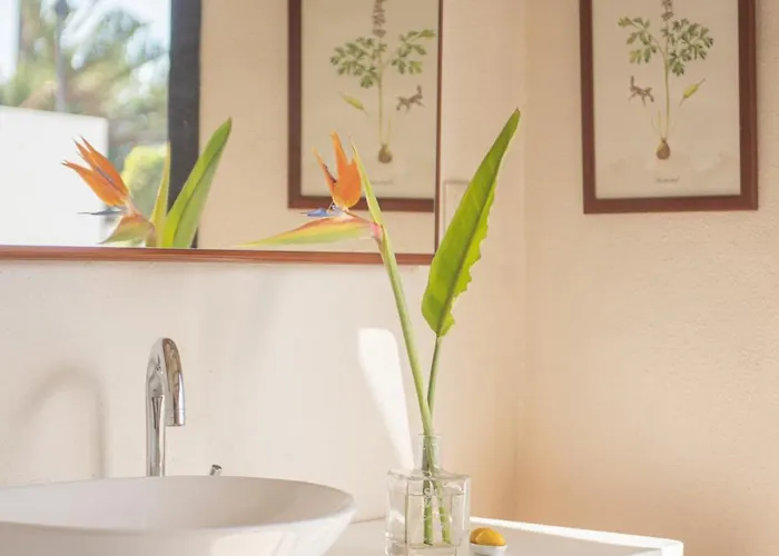 El Secanet * Algimia de Alfara