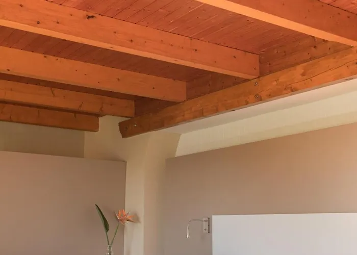 El Secanet Algimia de Alfara