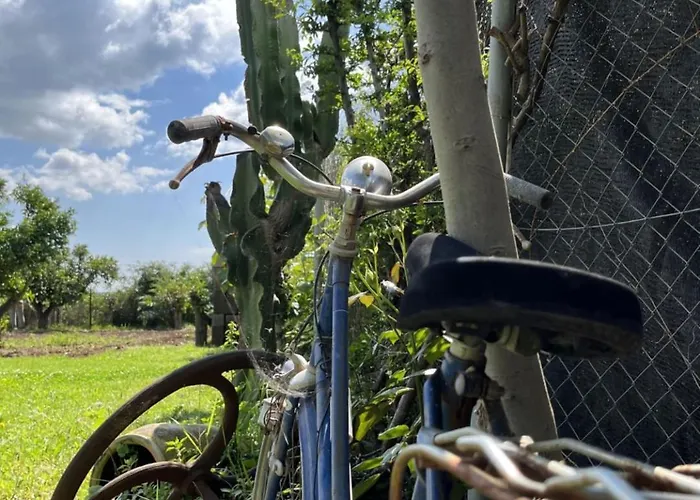 Casa di campagna El Secanet Algimia de Alfara