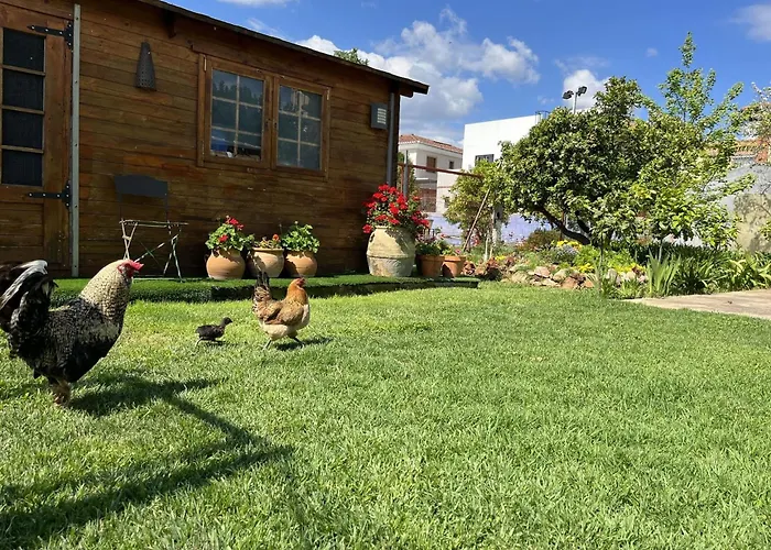 Casa di campagna El Secanet *