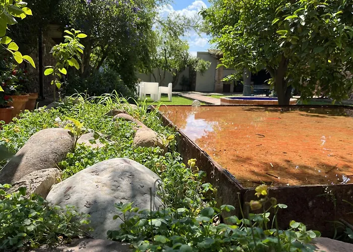 El Secanet * Algimia de Alfara