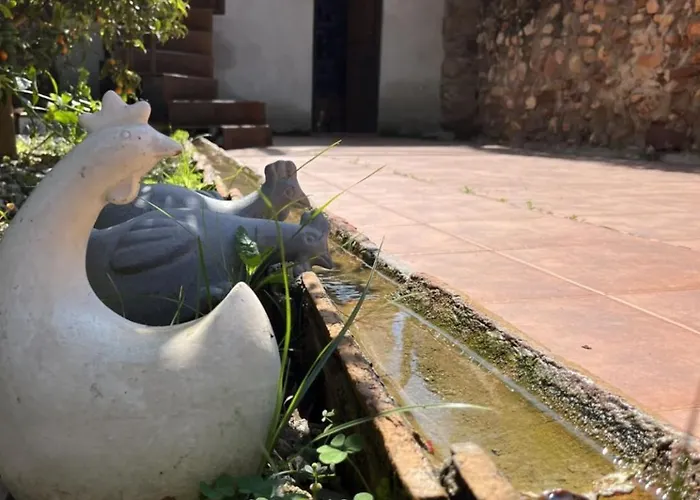 El Secanet Casa di campagna Algimia de Alfara