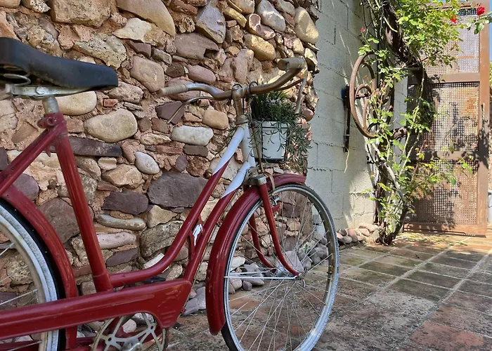 Casa di campagna El Secanet Algimia de Alfara