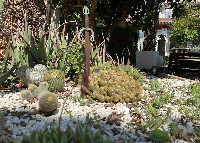 Casa di campagna El Secanet